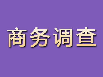 都江堰商务调查